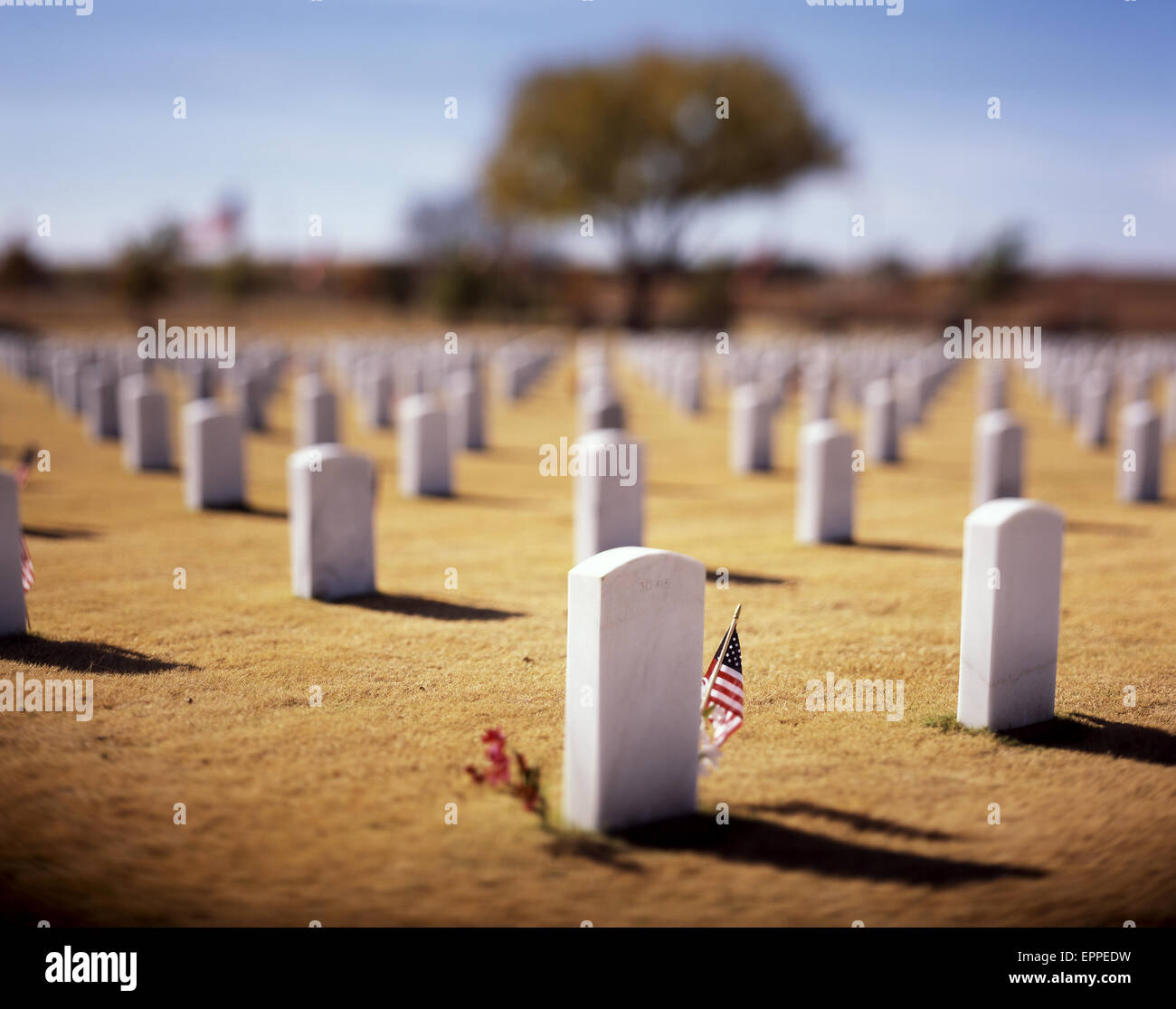 Un flag di noi decora una tomba di un soldato caduto sulla soleggiata e tranquilla giornata veterani presso i cimiteri militari di Ft. Ancora, Okl Foto Stock