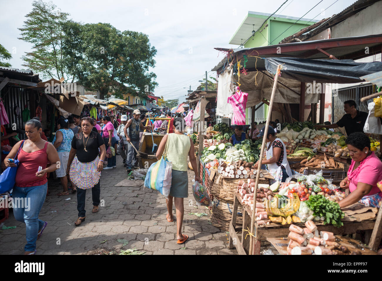 Venditori di frutta e verdura Mercado Municipal Granada Nicaragua // GRANADA, Nicaragua - i venditori di frutta e verdura gestiscono le loro bancarelle presso il Mercado Municipal, il mercato centrale di Granada. Questi fornitori mantengono le tradizionali pratiche di mercato, esponendo ogni giorno prodotti freschi per i clienti locali. Il mercato serve come fonte primaria di frutta e verdura fresca per i residenti di Granada. Foto Stock