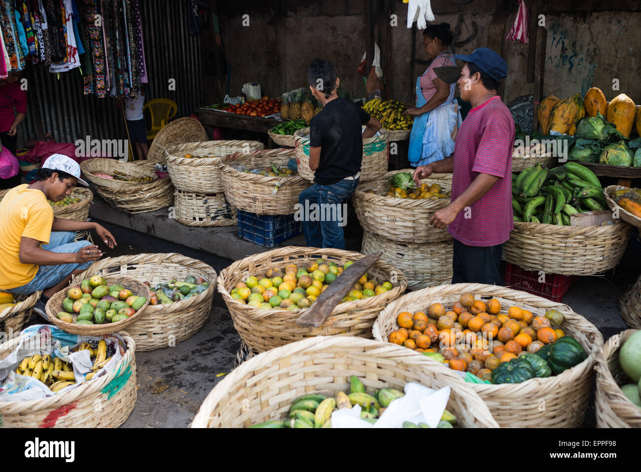 Venditori di frutta e verdura Mercado Municipal Granada Nicaragua // GRANADA, Nicaragua - i venditori di frutta e verdura gestiscono le loro bancarelle presso il Mercado Municipal, il mercato centrale di Granada. Questi fornitori mantengono le tradizionali pratiche di mercato, esponendo ogni giorno prodotti freschi per i clienti locali. Il mercato serve come fonte primaria di frutta e verdura fresca per i residenti di Granada. Foto Stock