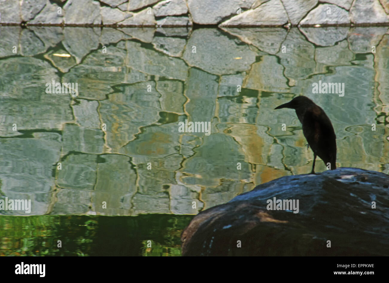 Muro di pietra e metallo heron statua nei pressi di un laghetto riflettente al giardino giapponese nel bacino di Sepulveda, Los Angeles, California, Foto Stock