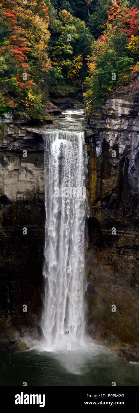 Taughannok cade, Cayuga Lake, New York in autunno. Foto Stock