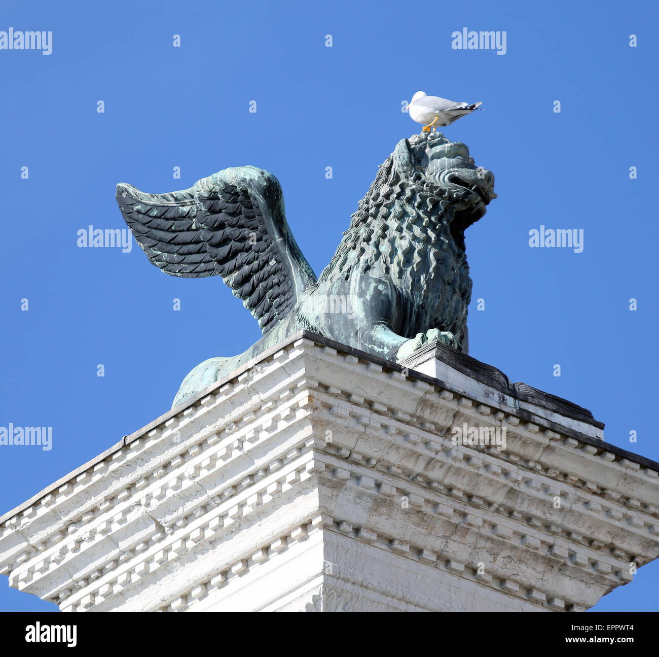 Leone alato statua in piazza san marco a venezia e Seagull in testa su Mane Foto Stock