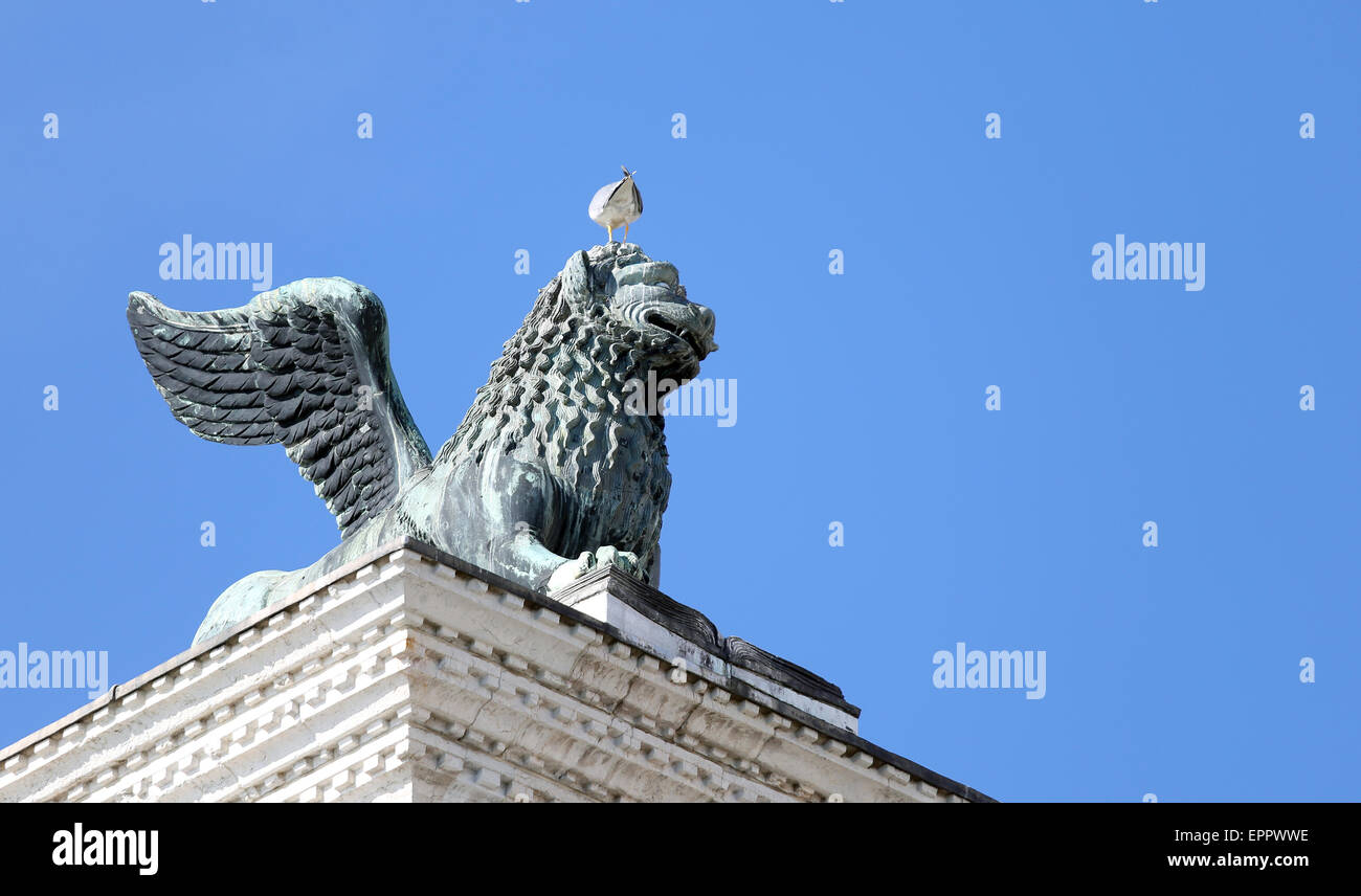 Leone alato statua in piazza san marco a venezia e Seagull in testa su Mane Foto Stock