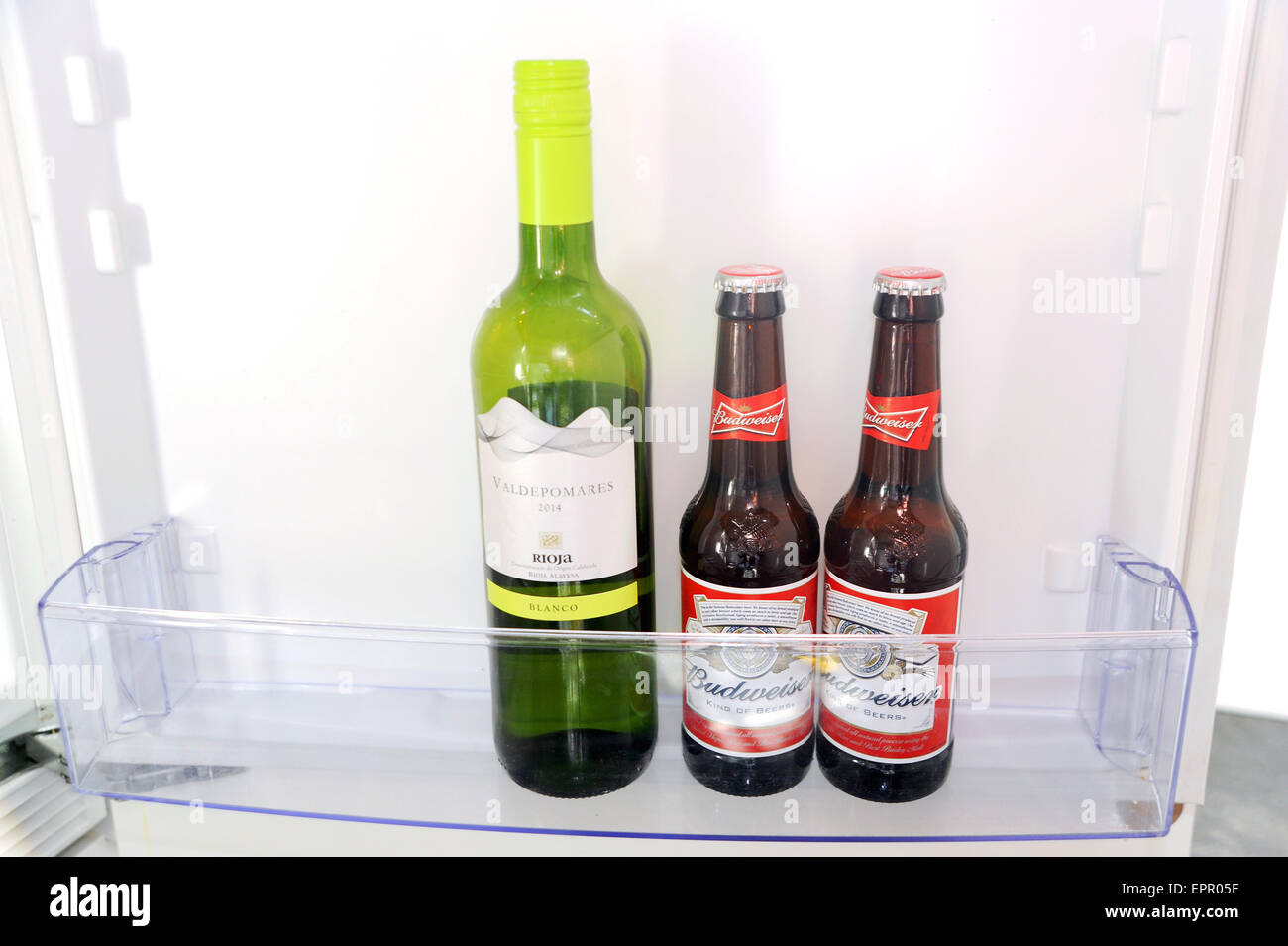 Due piccole bottiglie di birra Budweiser seduti in un frigorifero mantenendo fresco con una bottiglia di vino bianco vino Rioja Foto Stock