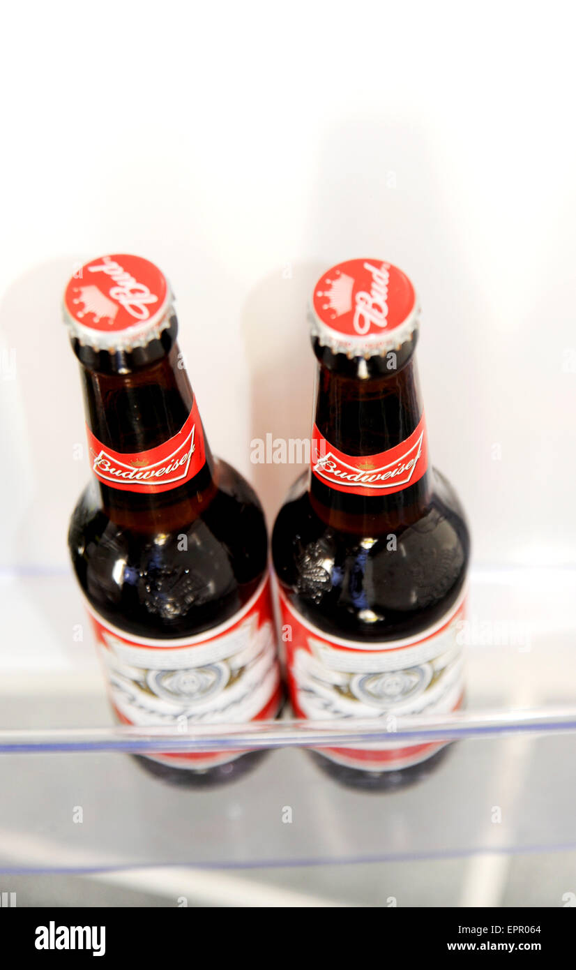 Due piccole bottiglie di birra Budweiser seduti in un frigorifero che mantiene fresco Budweiser è una lager pallida prodotta da AnheuserÐBusch Foto Stock