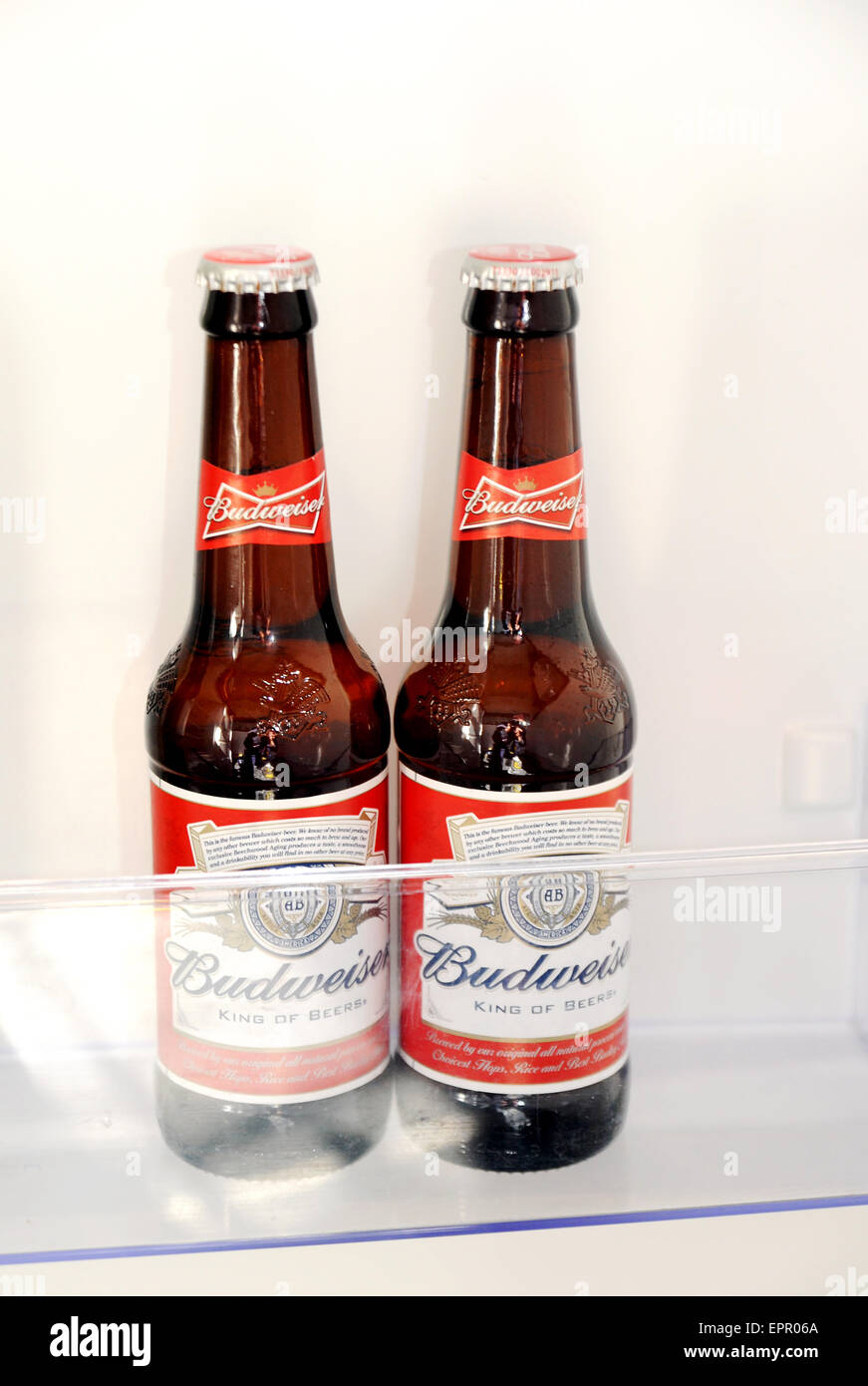 Due piccole bottiglie di birra Budweiser seduti in un frigorifero mantenendo cool Budweiser è una lager prodotta da AnheuserÐBusch InBev Foto Stock