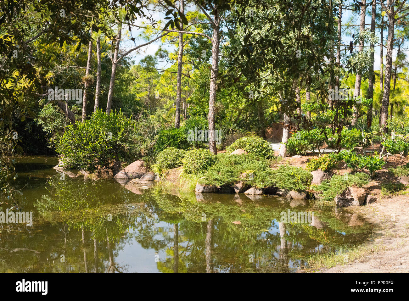 Florida , Del Ray Beach , Morikami Museum & Park , Roji-En Giardini Giapponesi di gocce di rugiada lago dettaglio rocce alberi cespugli Foto Stock