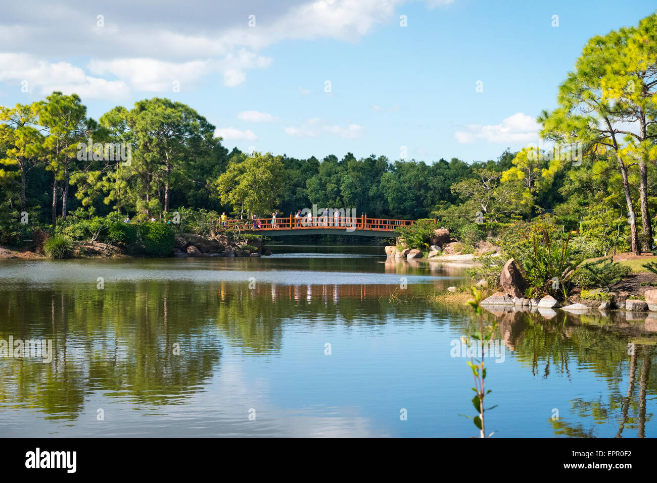 Florida , Del Ray Beach , Morikami Museum & Park , Roji-En , Giardini Giapponesi di gocce di rugiada lago d acqua alberi & ponte rosso Foto Stock