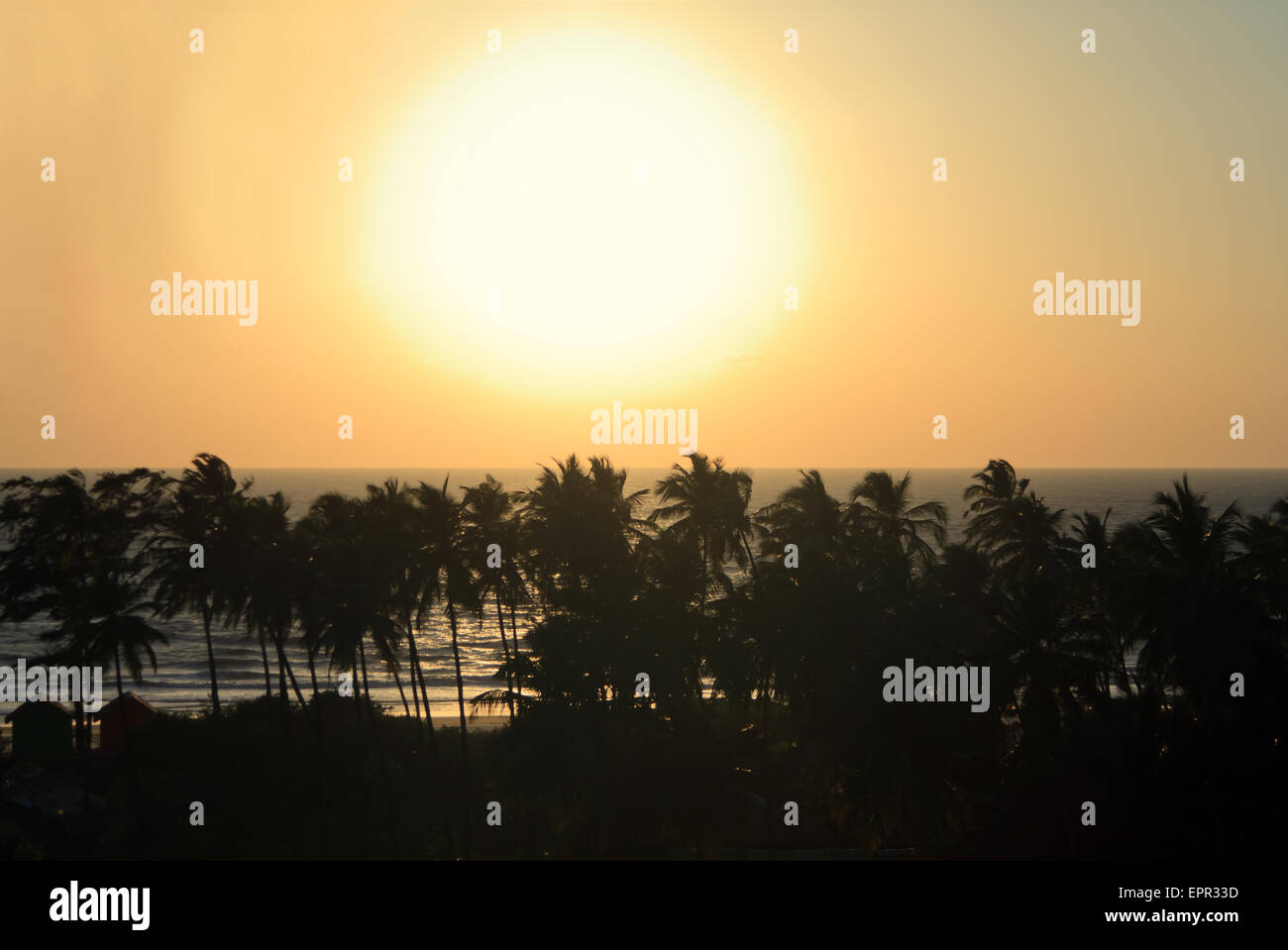 Palme Silhouette al tramonto Foto Stock