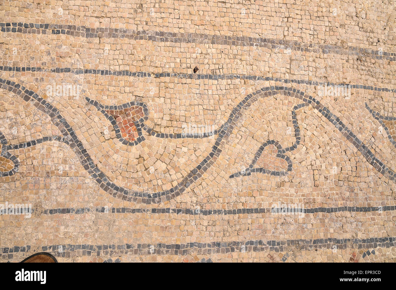 Israele, Bet Shean (Scythopolis). Nel 64 A.C. fu presa dai romani e ricostruita, e di fatto la capitale della Decapoli, il "Dieci Foto Stock