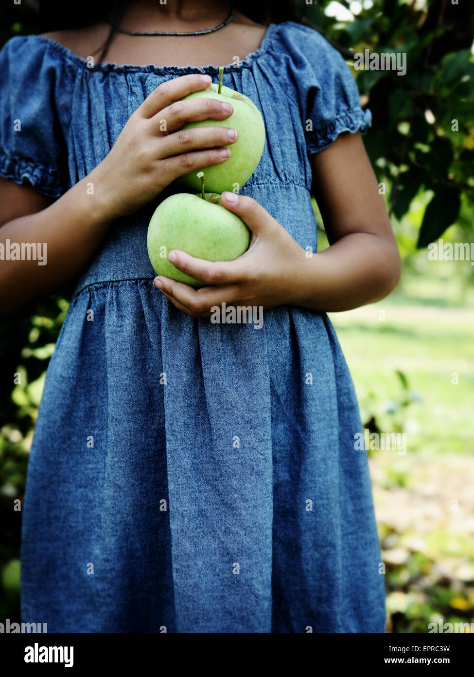 Una giovane ragazza può contenere mele verdi in un meleto. Foto Stock