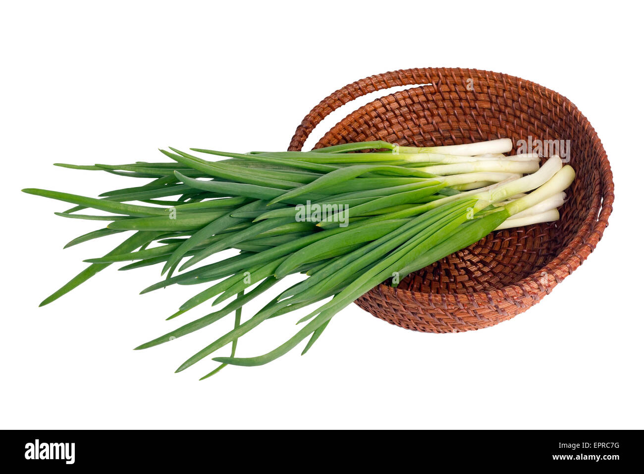 Piume foglie di molla di fresca insalata verde cipolle giacciono in un wattled willow cestello. Isolato Foto Stock