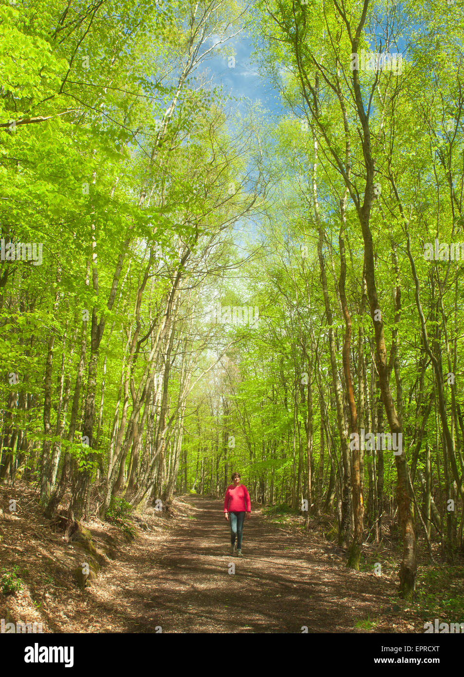 Donna che cammina in una foresta di primavera. Foto Stock Donna che cammina in una foresta di primavera. Foto Stock