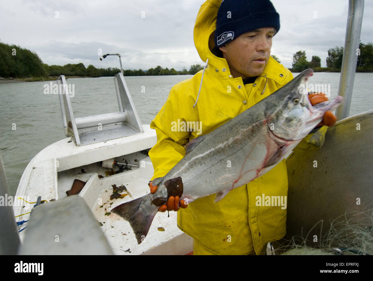 Netto deriva la pesca al salmone, Skagit RIver, Washington Foto Stock