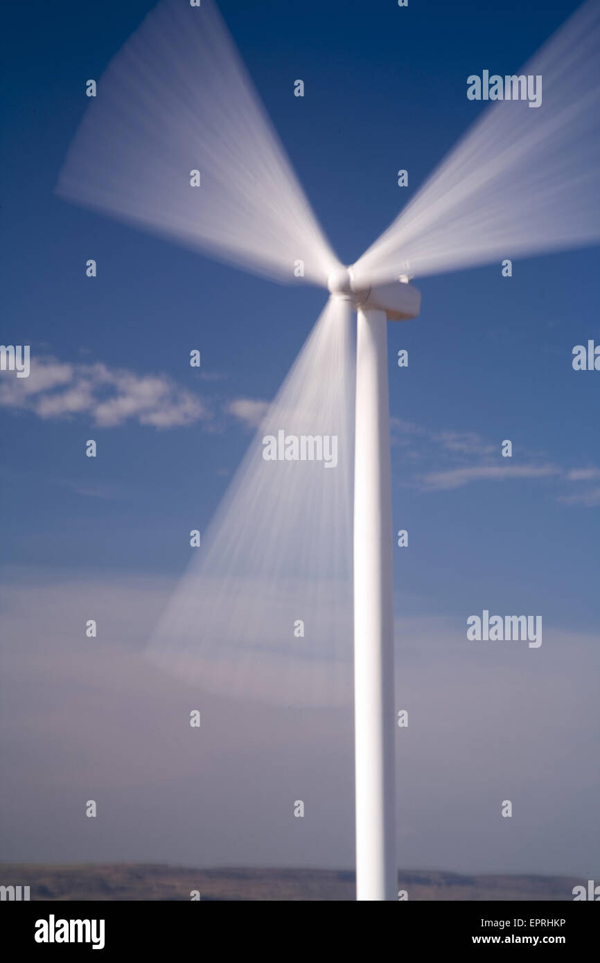 Mulini a vento di raccolta di energia eolica sul Columbia River Gorge nei pressi di Arlington, o. Foto Stock