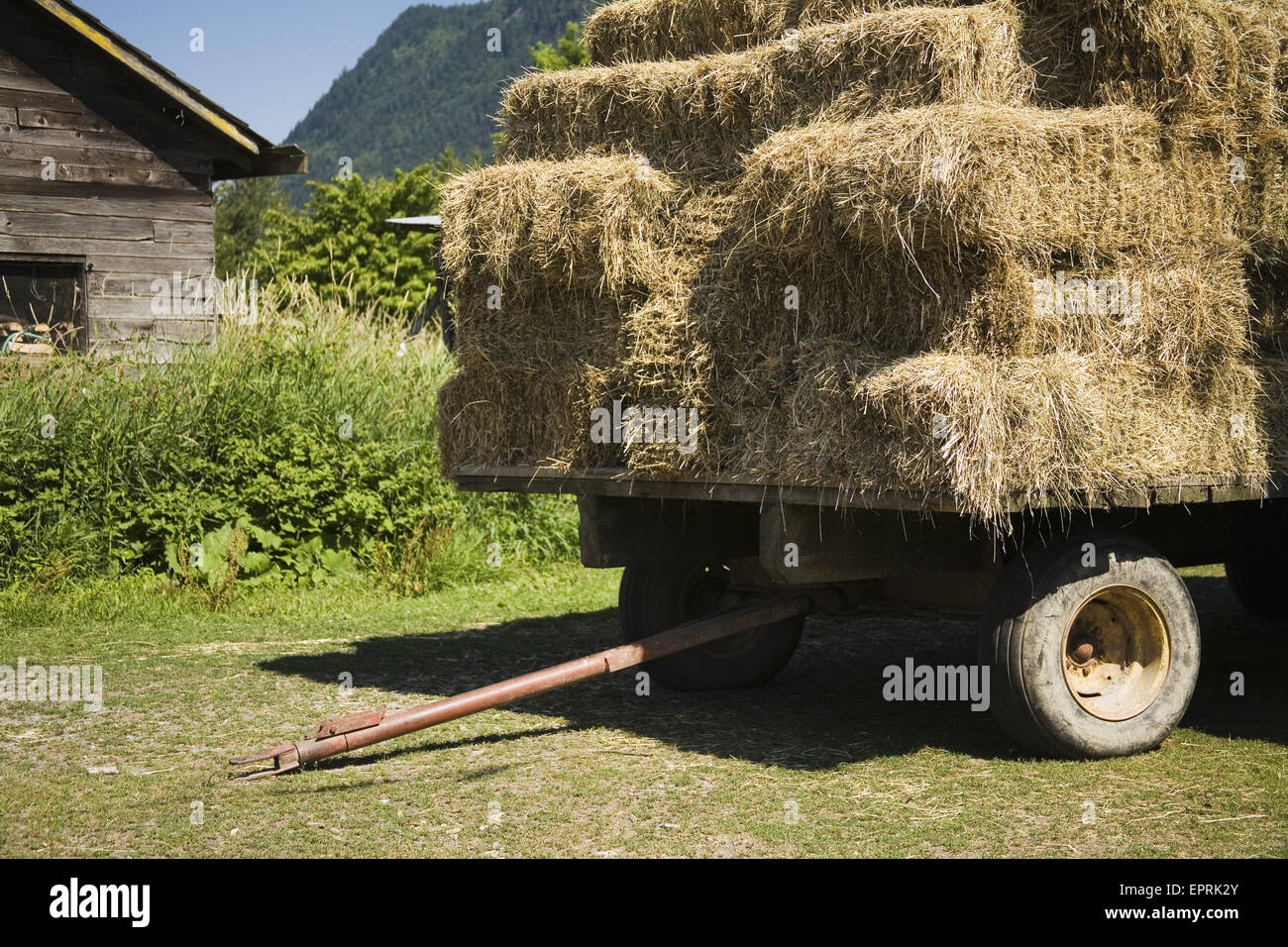 Un alto carico di fieno in una fattoria. Foto Stock