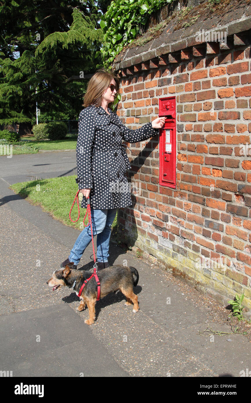 Donna con piccolo cane sul filo rosso, avendo appena pubblicato la lettera in rosso postbox nel muro di mattoni in Inghilterra, Regno Unito Foto Stock