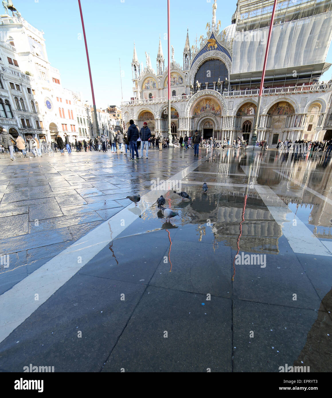 Venezia, VE, Italia - 31 Gennaio 2015: la Basilica di San Marco durante l'alta marea di turisti e di acqua in piazza san marco Foto Stock