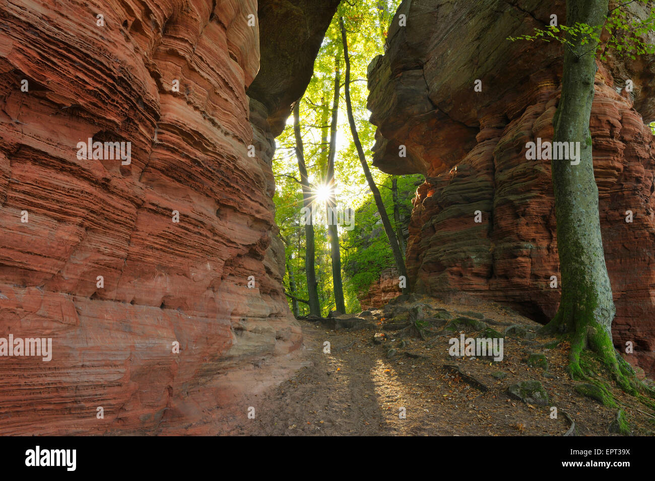 Roccia Arenaria di Formazione con Sun, Altschlossfelsen, Eppenbrunn, Pfalzerwald, Renania-Palatinato, Germania Foto Stock