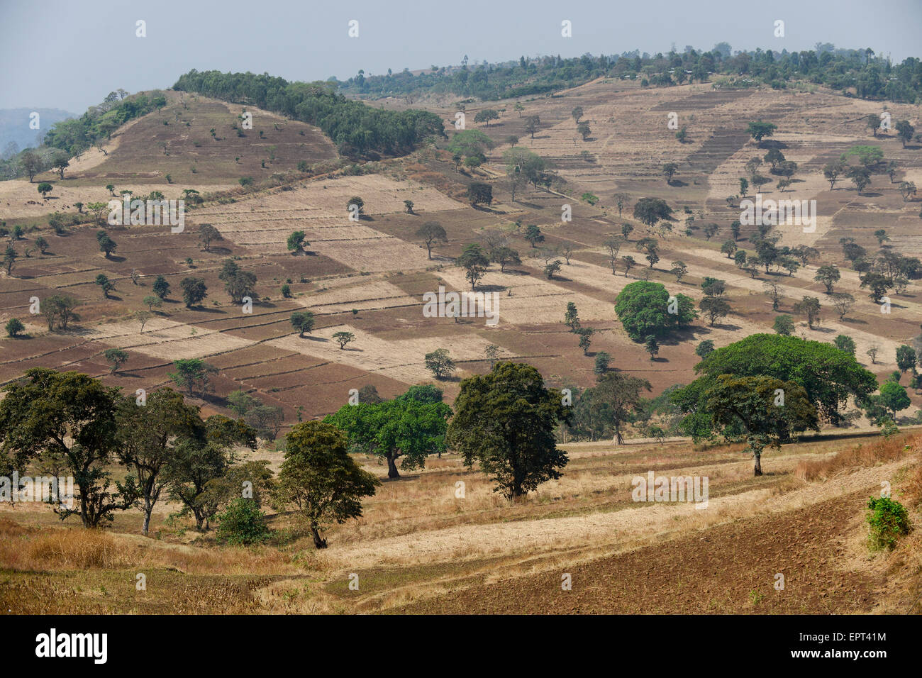 Etiopia Gambela, piccole aziende agricole in highland / AETHIOPIEN Gambela, kleinbaeuerliche Landwirtschaft im Hochland Foto Stock
