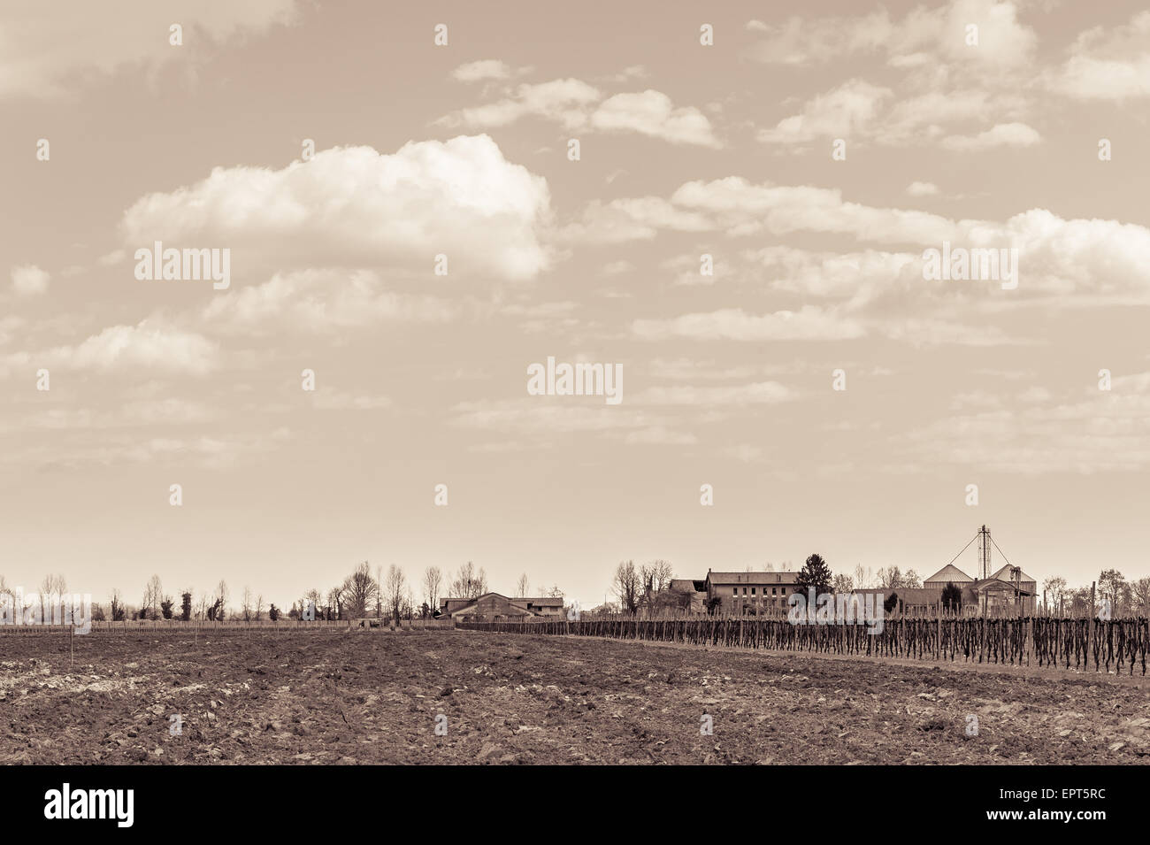 Effetto vintage. Il paesaggio agricolo con vigneto e agriturismo in background. Foto Stock