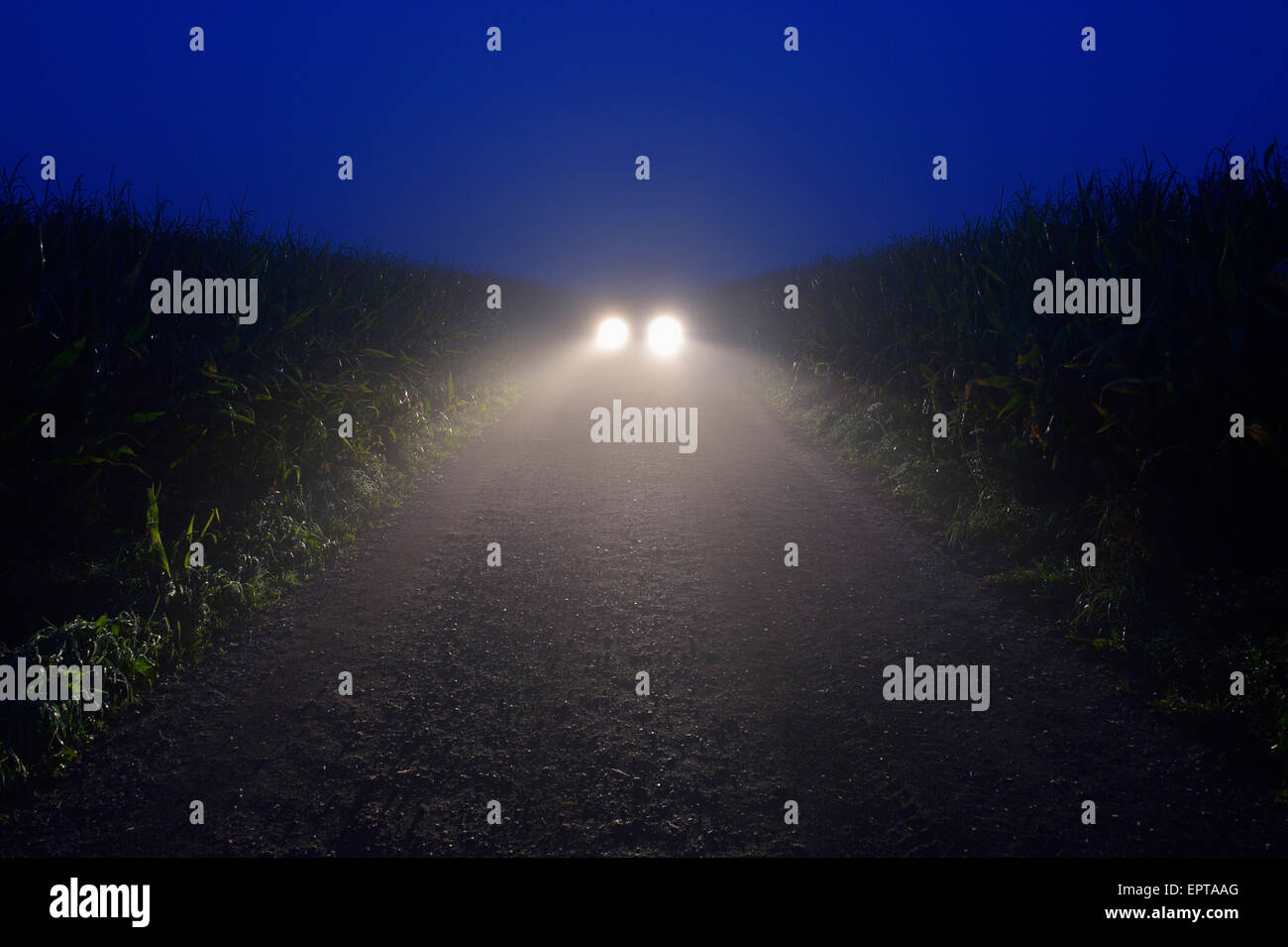 Luci auto sulla strada sterrata all'alba, Vielbrunn, Odenwald, Hesse, Germania Foto Stock