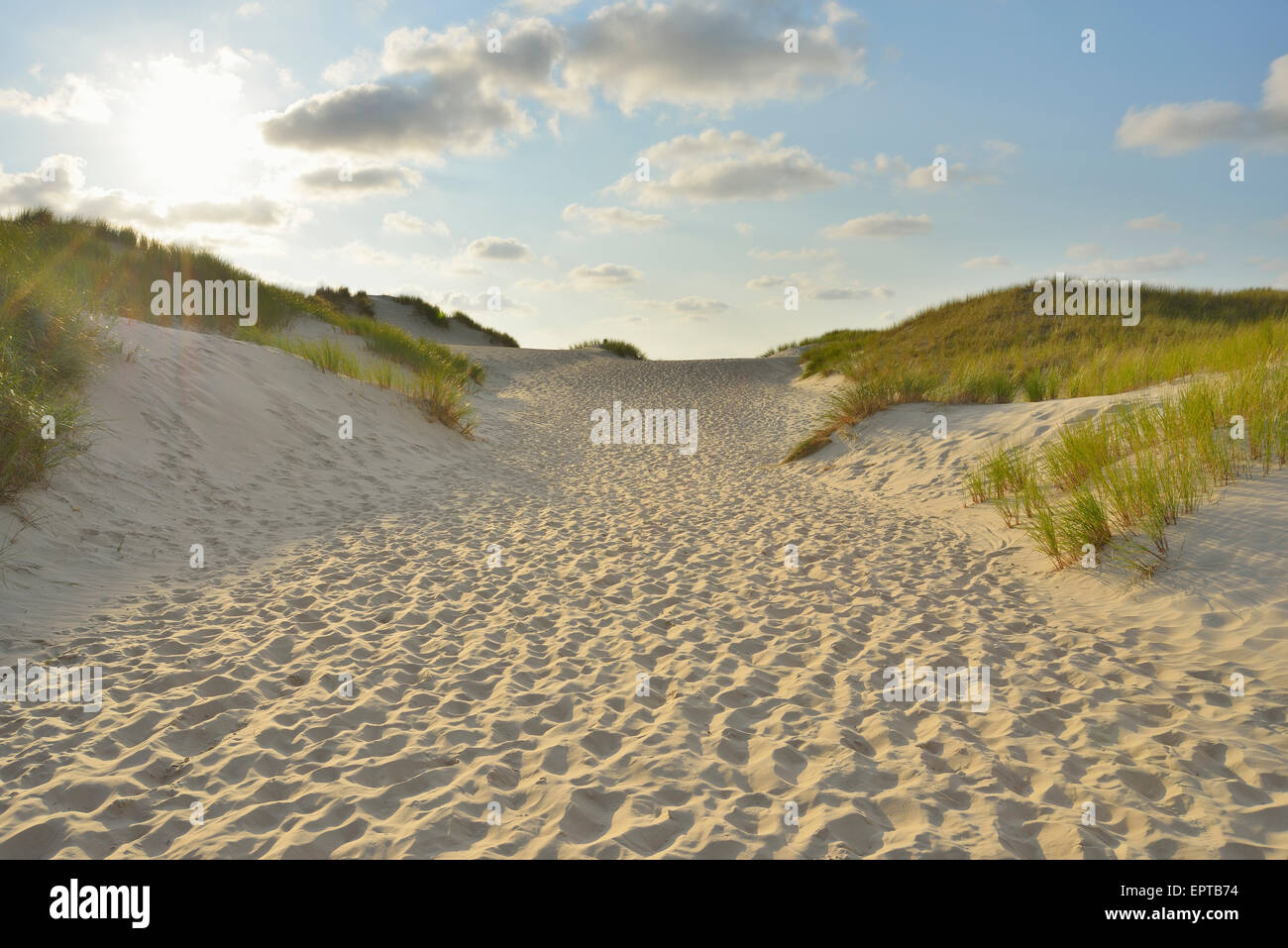 Percorso attraverso le dune della spiaggia con Sun, estate, Norderney, Frisia orientale, Isola del Mare del Nord, Bassa Sassonia, Germania Foto Stock