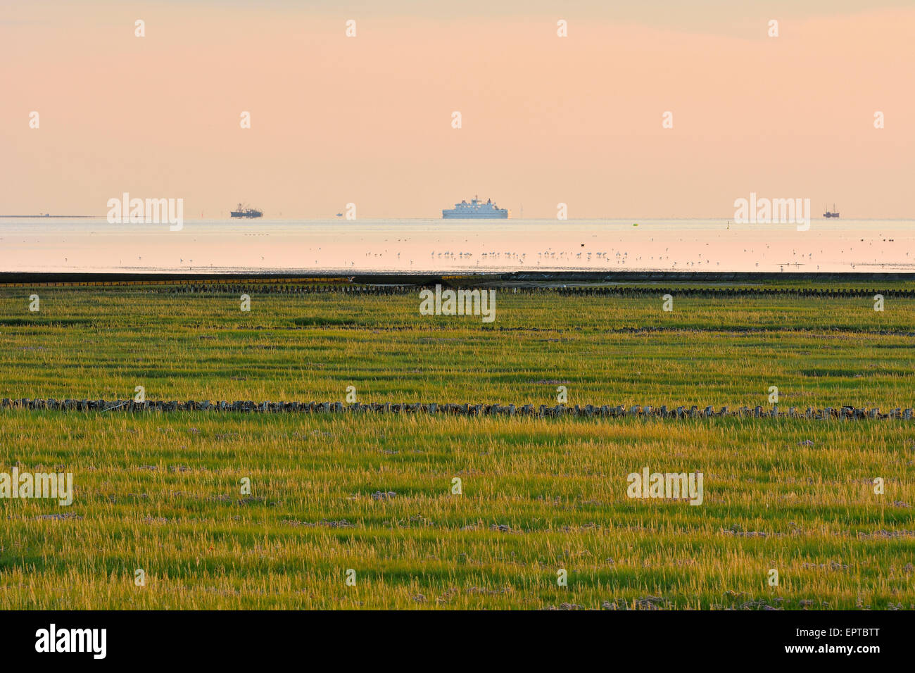 Una palude con il Mare del Nord e le navi al tramonto, Norderney, Frisia orientale, Isola del Mare del Nord, Bassa Sassonia, Germania Foto Stock