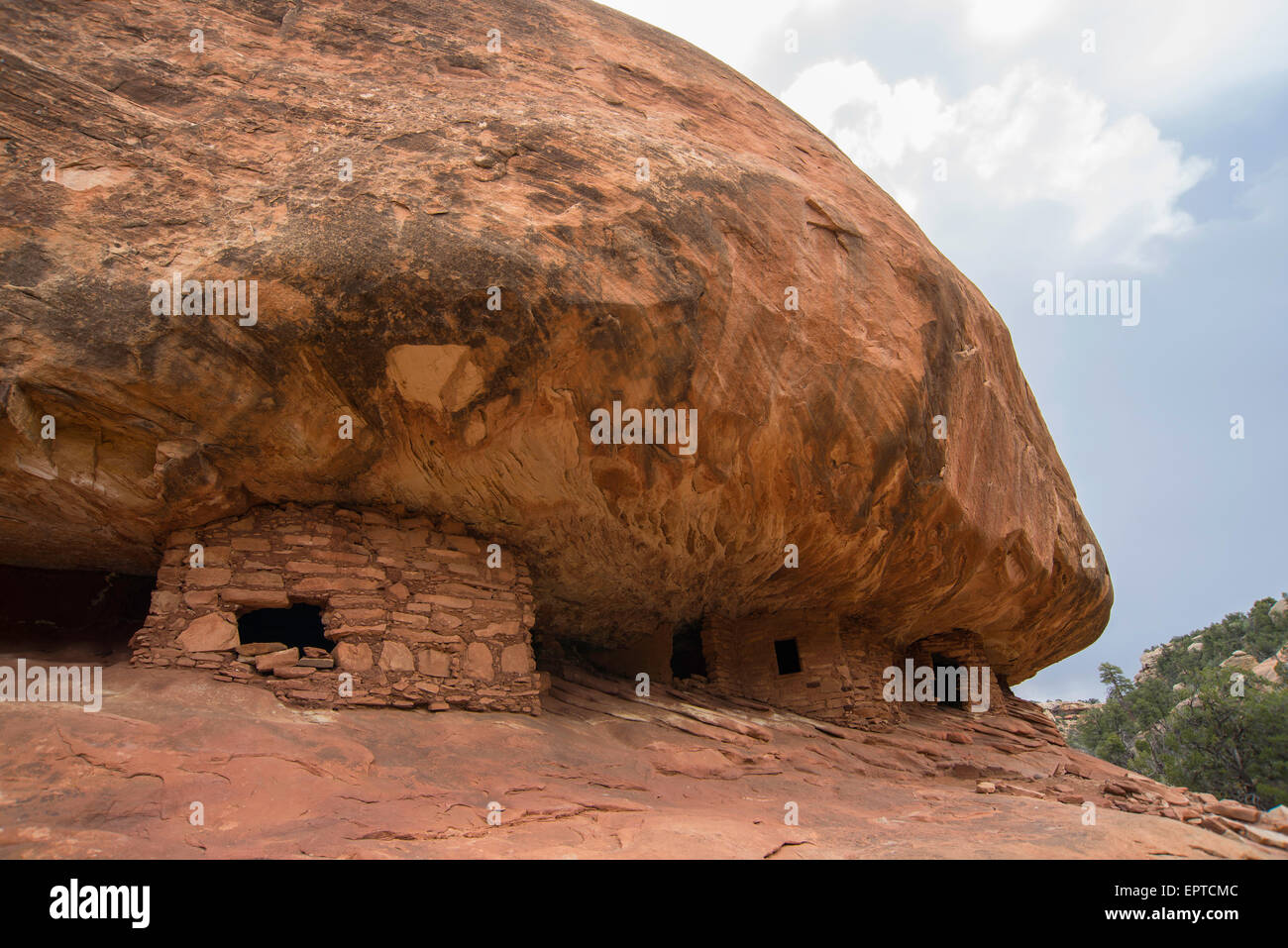 "House on Fire", rovine dei Pueblo, Mule Canyon,Utah, Stati Uniti d'America Foto Stock