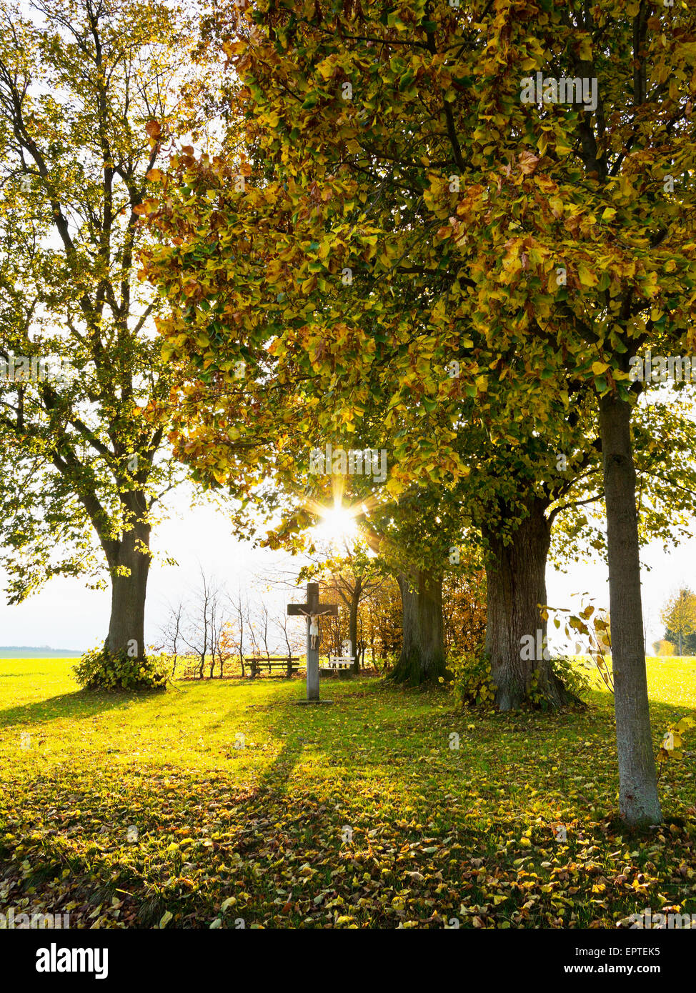 Croce lungo il tragitto, Weser colline, Renania settentrionale-Vestfalia, Germania Foto Stock