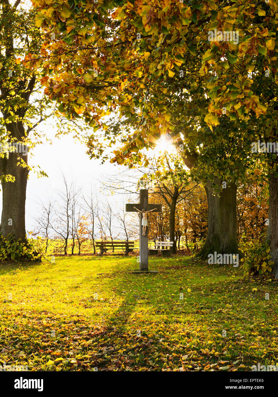 Croce lungo il tragitto, Weser colline, Renania settentrionale-Vestfalia, Germania Foto Stock