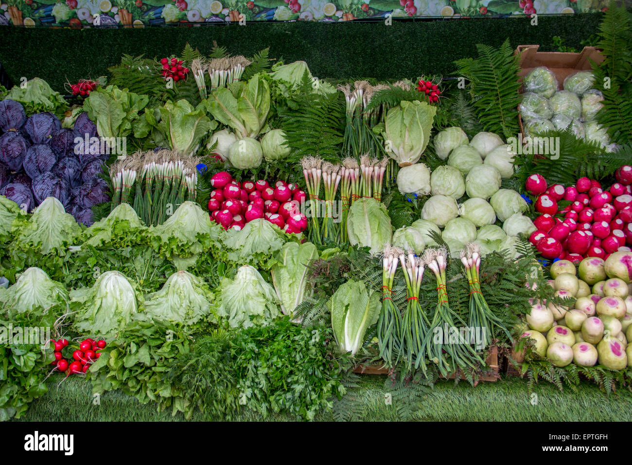 Varietà di verdure a negozi di generi alimentari Foto Stock