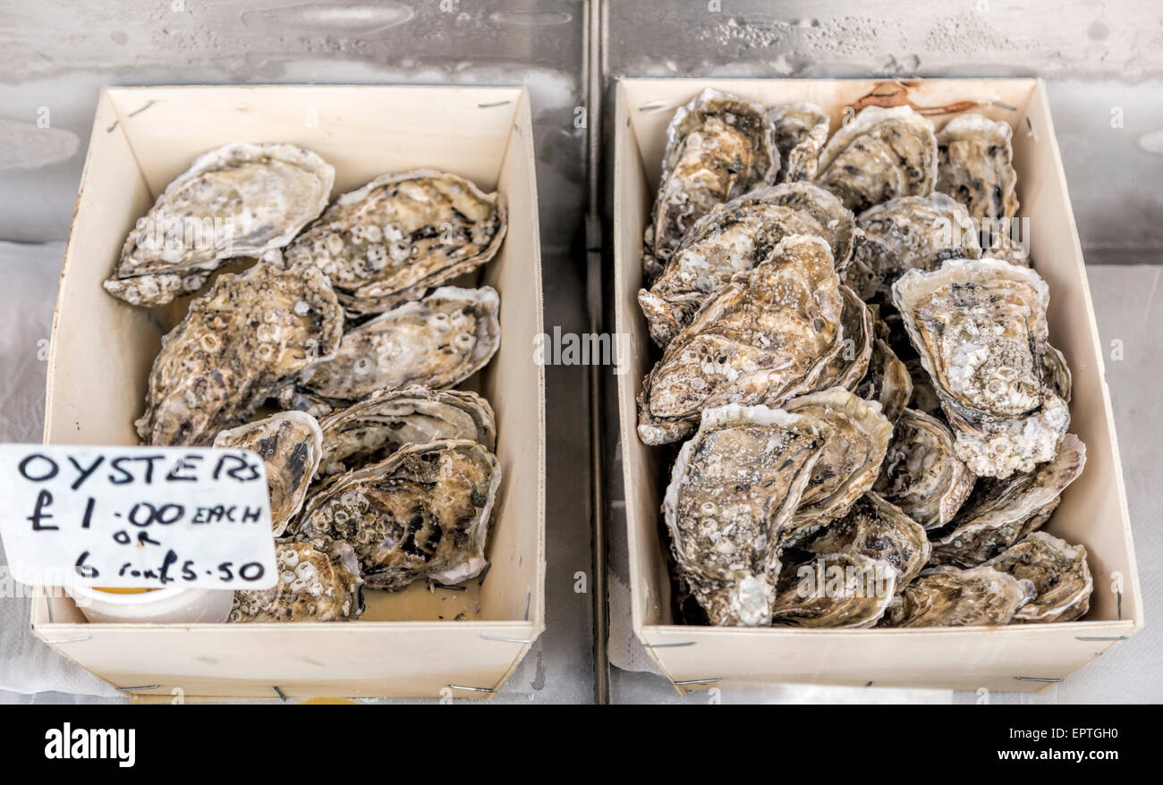 Ostriche per la vendita ad un pesce-stall sul lungomare di Brighton, East Sussex, Inghilterra, Regno Unito. Foto Stock