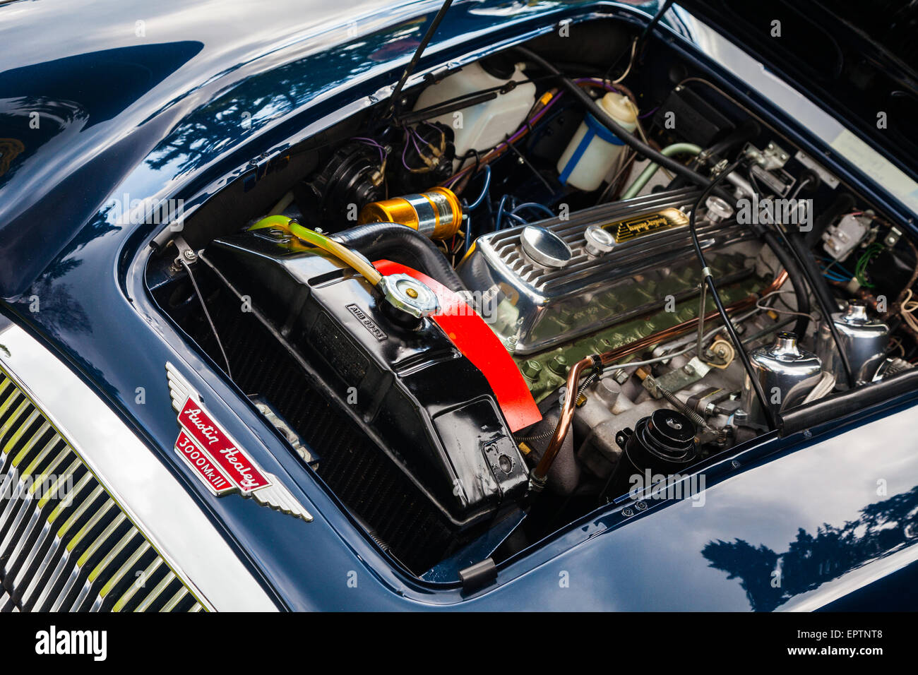 Aprire il cofano di una Austin Healey MkIII 3000 British Auto sportiva Foto Stock
