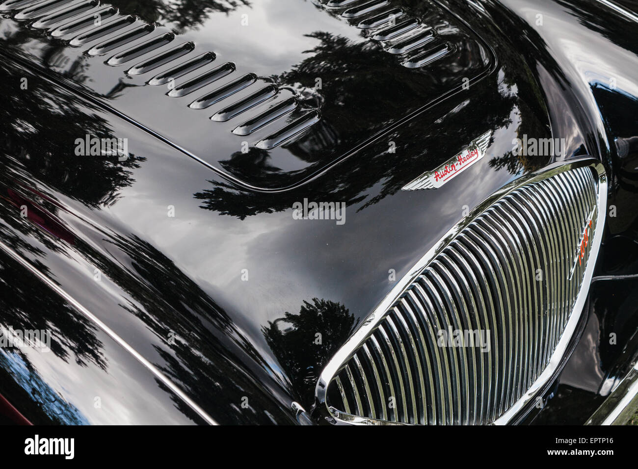 Dettaglio della parte anteriore di una Austin Healey 100 British Auto sportiva Foto Stock
