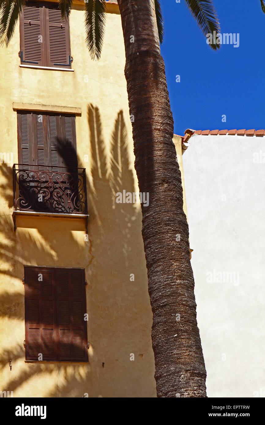 L ombra di palma contro un edificio giallo Foto Stock