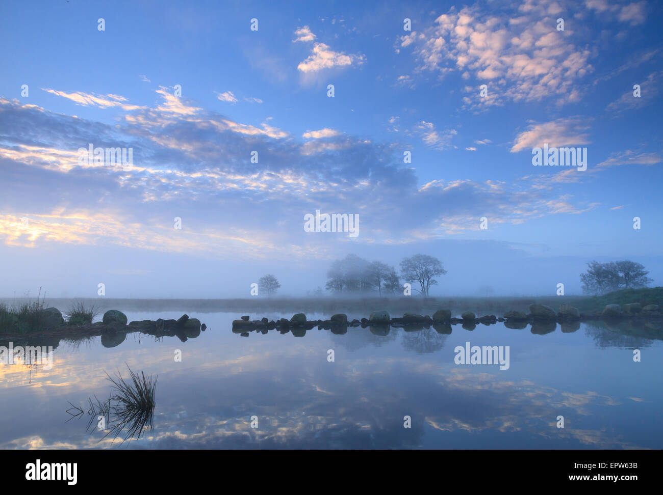 Nebbia e tranquillo sunrise nella nuova area natura 'De Onlanden' in Drenthe, Paesi Bassi. Foto Stock