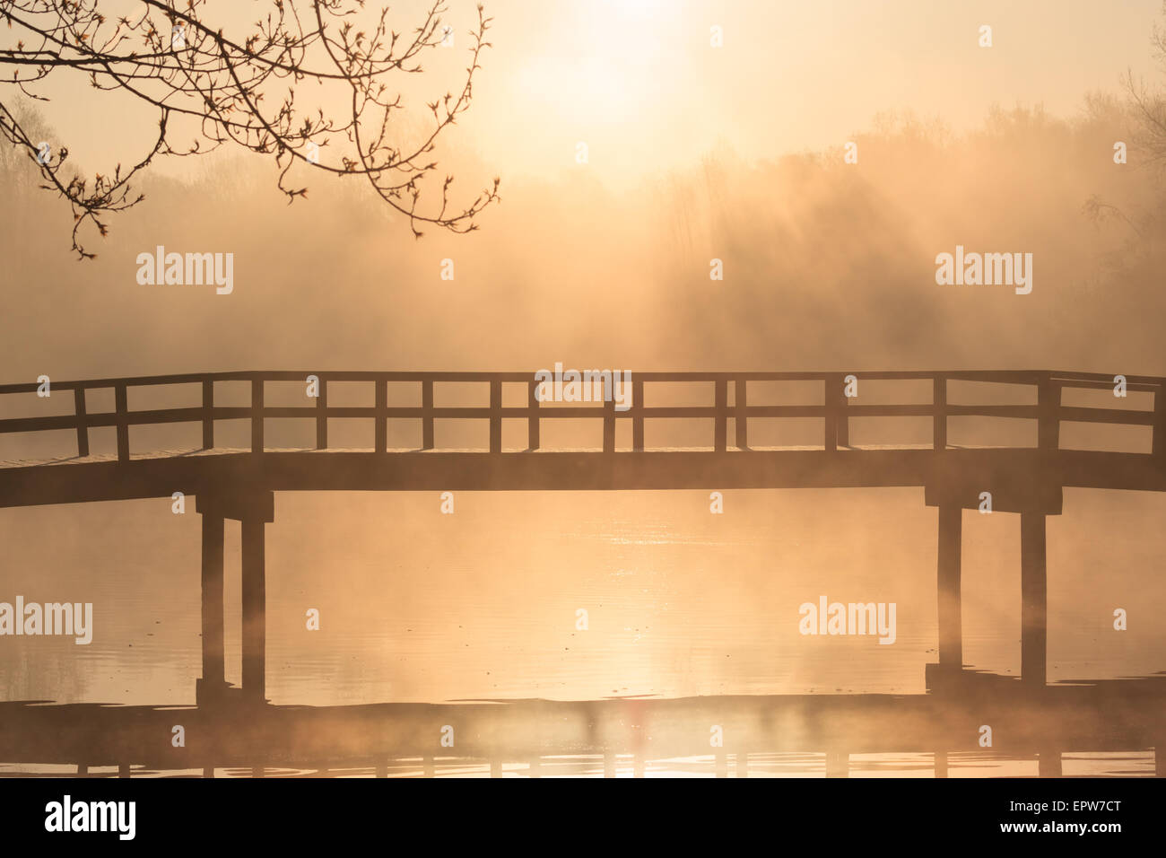Passerella di piccole dimensioni durante una nebbia, molla sunrise. Foto Stock