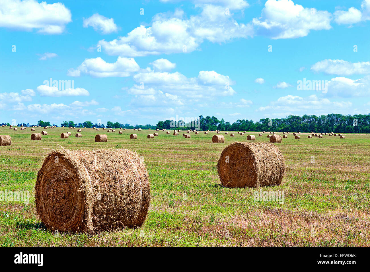 Raccolta di immagini di balle di paglia dal campo Foto Stock