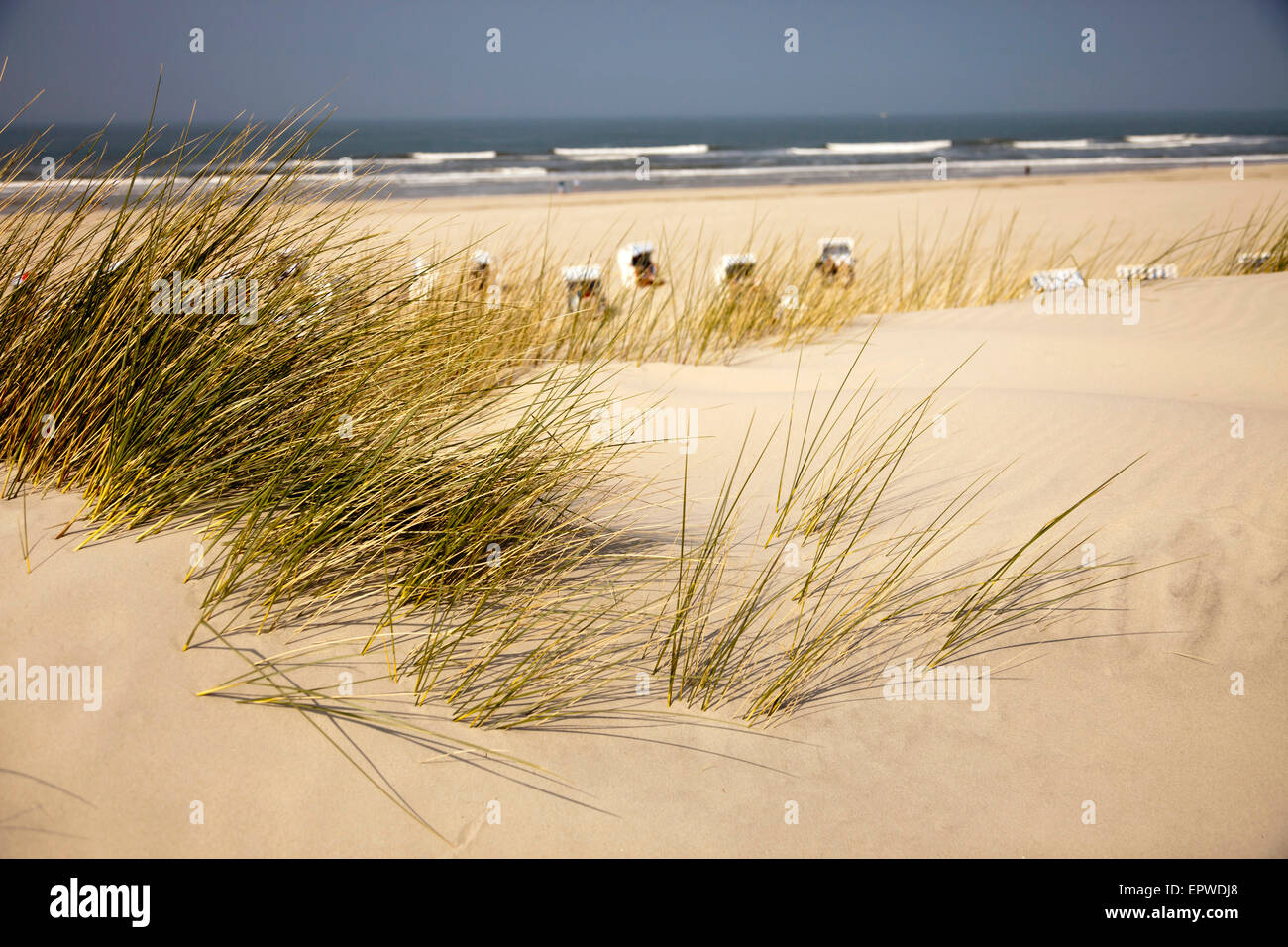 Le dune e la spiaggia principale, Est isola Frisone Spiekeroog, Bassa Sassonia, Germania Foto Stock