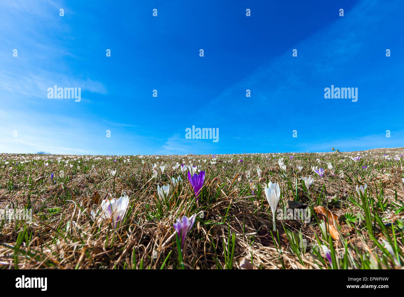 Veneto Monte Grappa alta collina Foto Stock