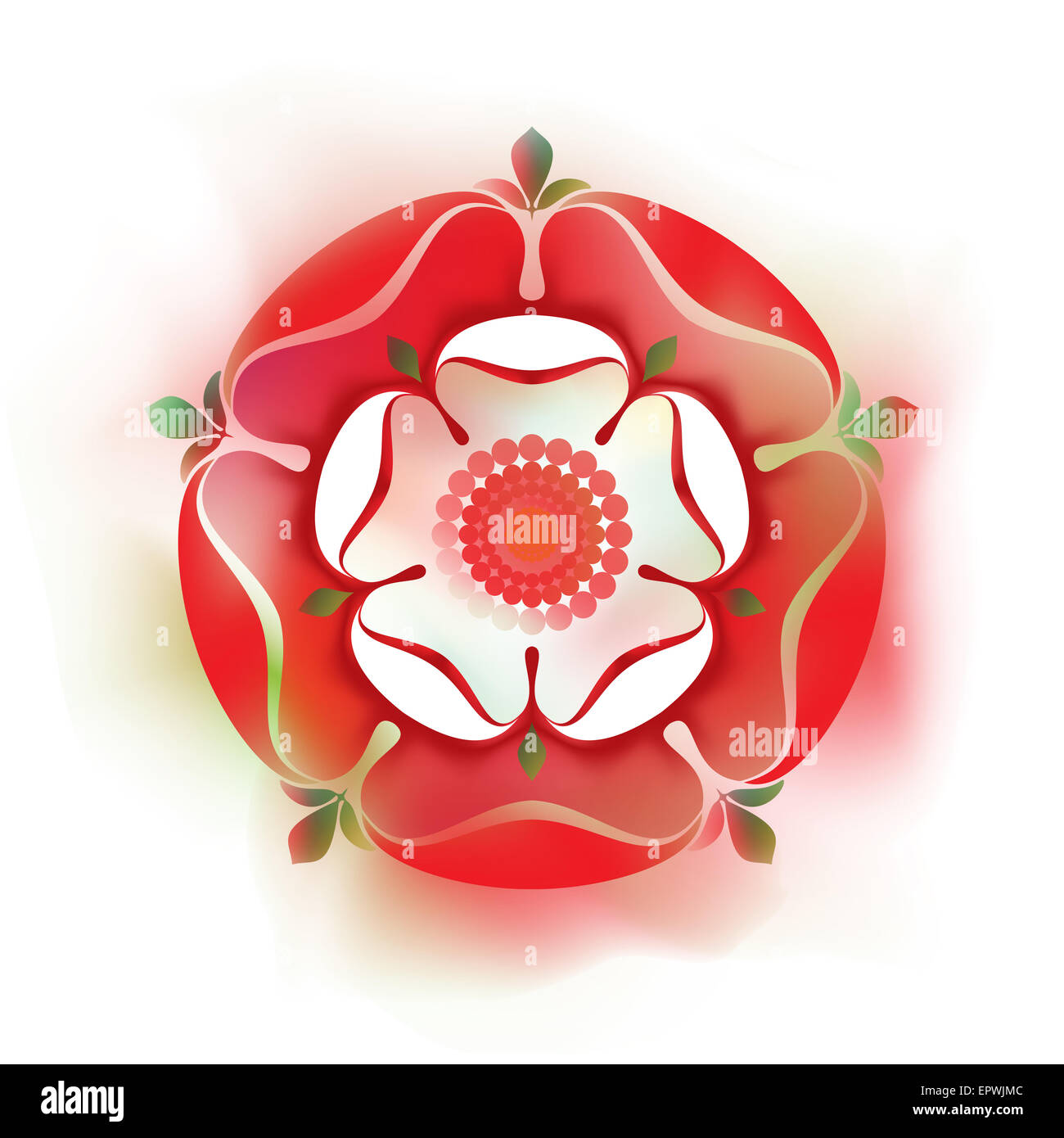 Dinastia Tudor Rose - illustrazione ombreggiata - Simbolo inglese Red Rose - la casa di Lancaster, White Rose - la casa di York Foto Stock