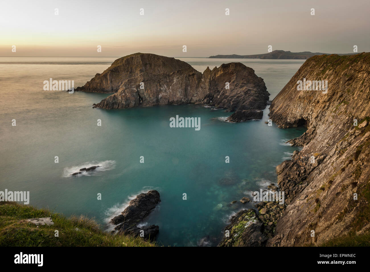 Luce della Sera sulle scogliere Il Pembrokeshire Coast Path, Galles Foto Stock