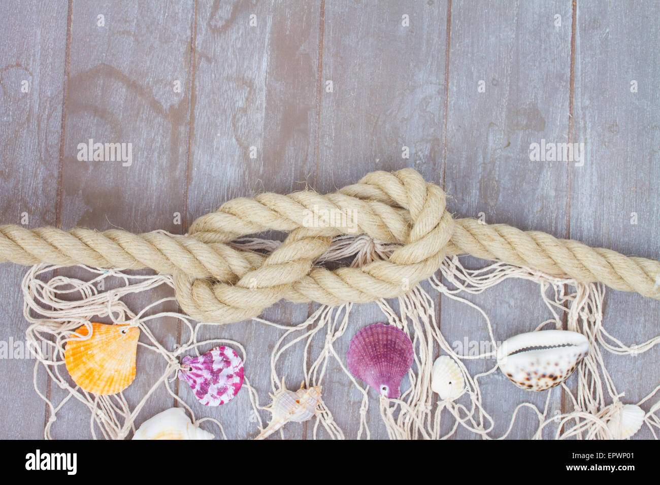 Nodo Marino Foto Stock Alamy