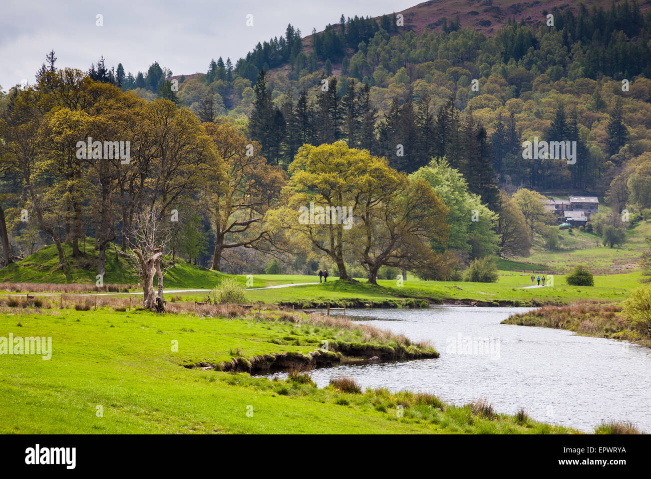 Walkers sul sentiero lungo il fiume Brathay, vicino Elterwater, Lake District, Cumbria Foto Stock