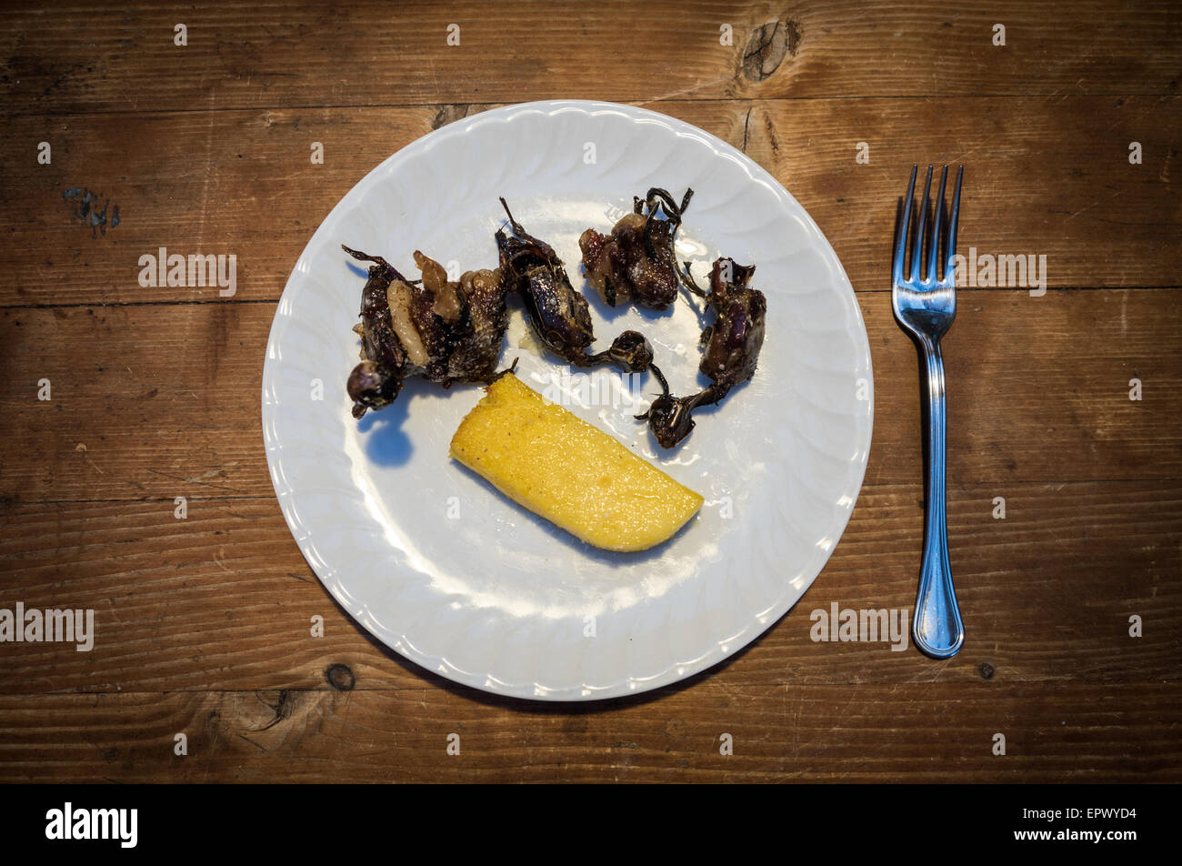 Polenta e uccelli, è un piatto tipico della tradizione di caccia in Italia Foto Stock