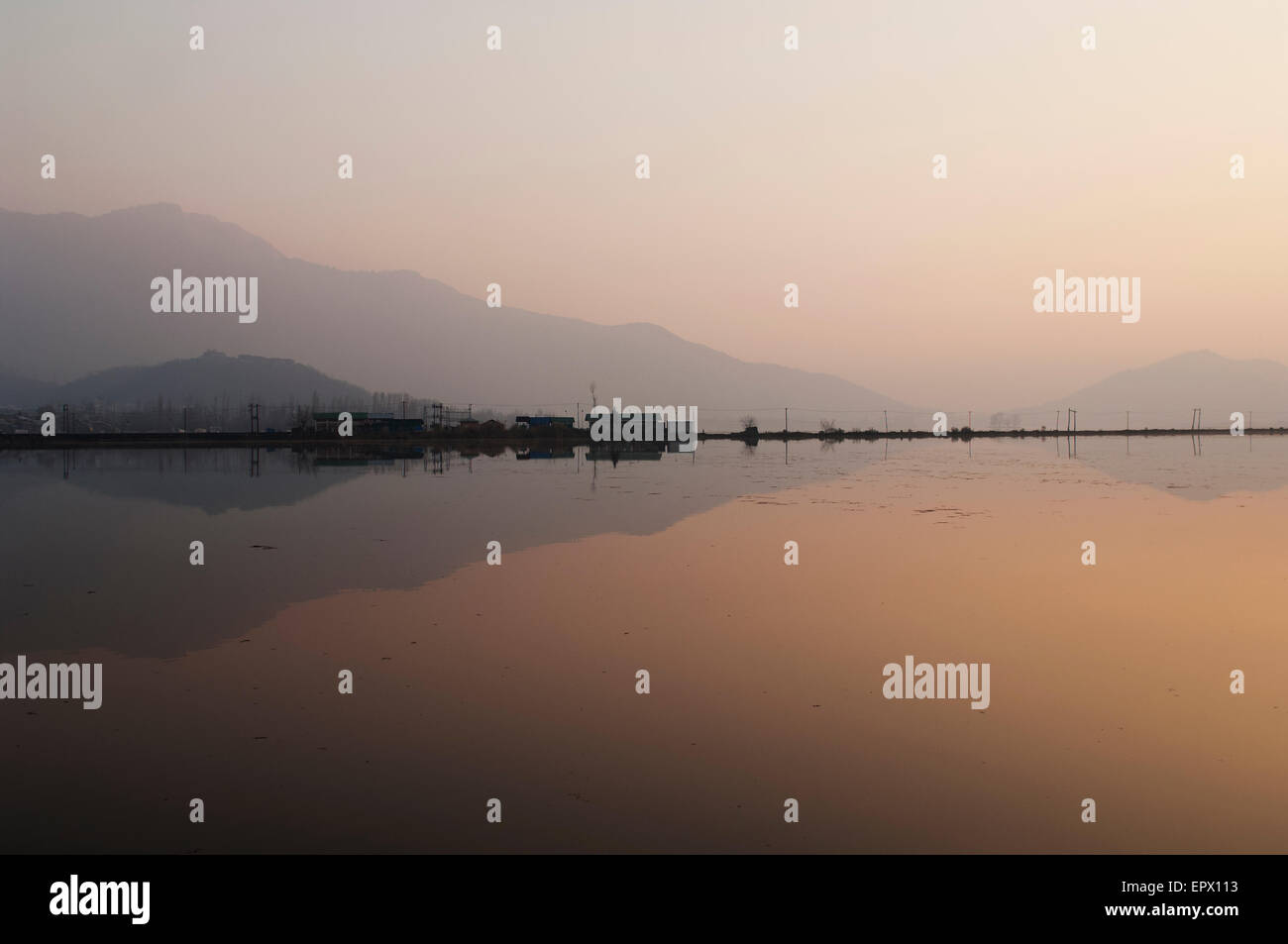 Dal Lake, Kashmir Foto Stock