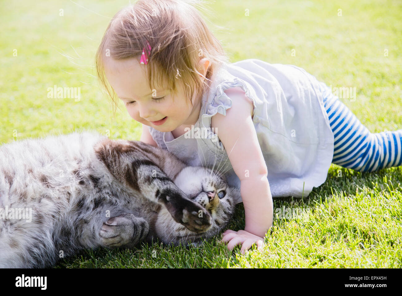 Baby girl (6-11 mesi) giocando con cat Foto Stock