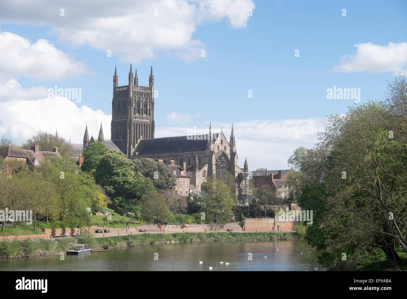 Fiume Severn a Worcester, con la cattedrale di Worcester in vista Foto Stock