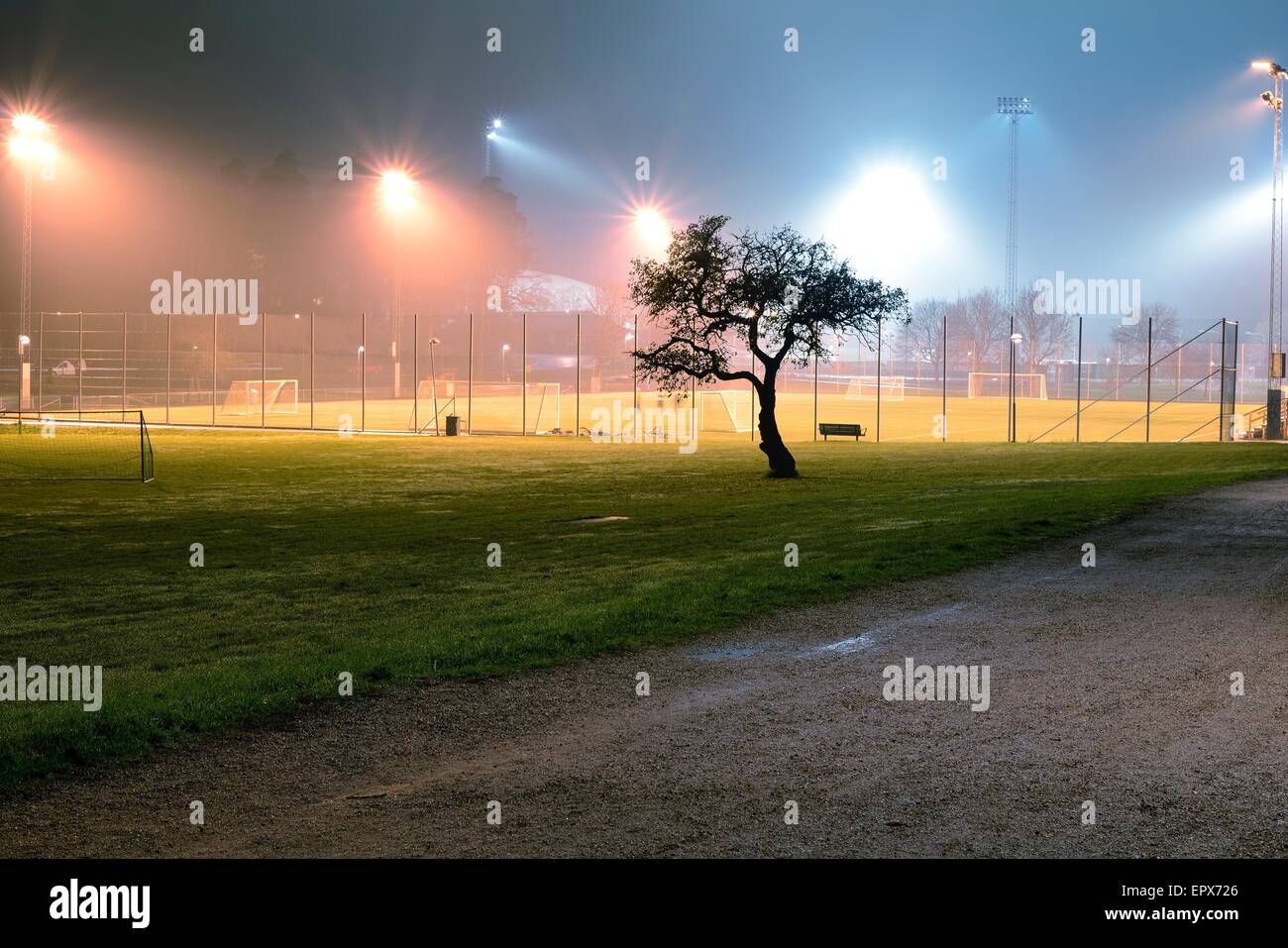 Campo di calcio Foto Stock